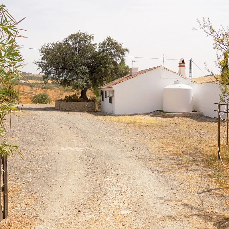 wKJXtHFtTCTsTLbNzquTZYR7fKyBqPynaKZuT7lh