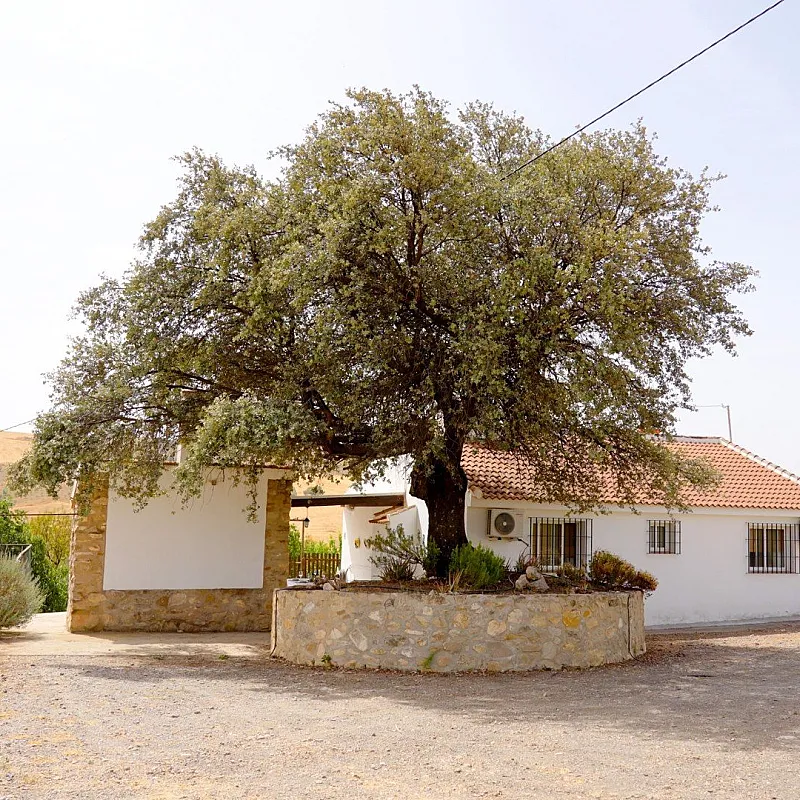 wizFg95TfnLJjbILcfnEqytxdJNGe9KNGfrUPg3M