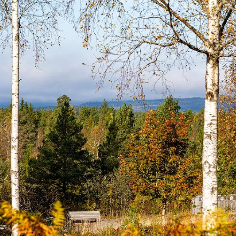 08pvm0OApOP4HpqDYvFxHWUGCnoqdeAaVod7PUf0