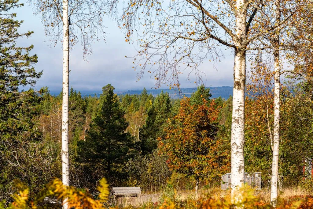 08pvm0OApOP4HpqDYvFxHWUGCnoqdeAaVod7PUf0