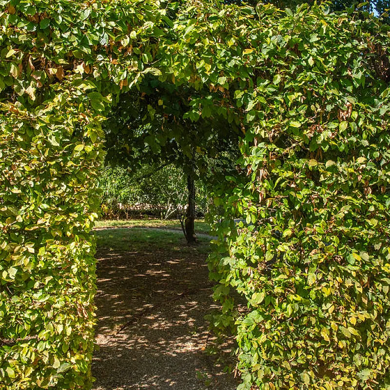 QjIduzc2ZJMxJiNdfMsQtnGOsqrNxXLzYaETojzn