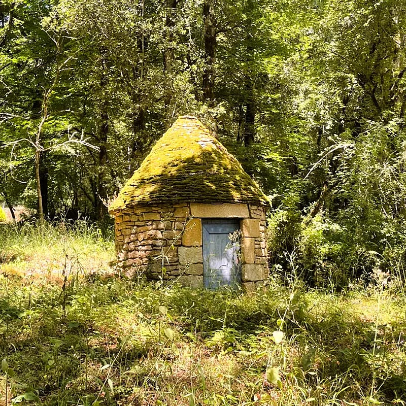 nocgL3bUtFfpg16u26Q1B6s1ONeuy7PQ5zpInKnY