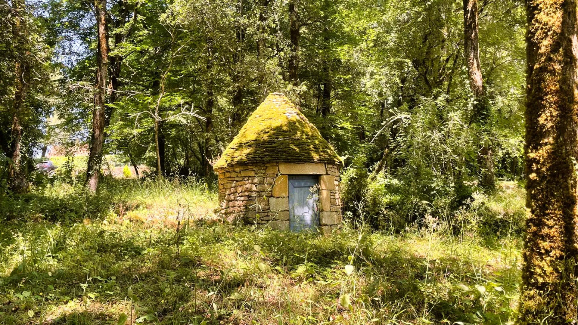 nocgL3bUtFfpg16u26Q1B6s1ONeuy7PQ5zpInKnY