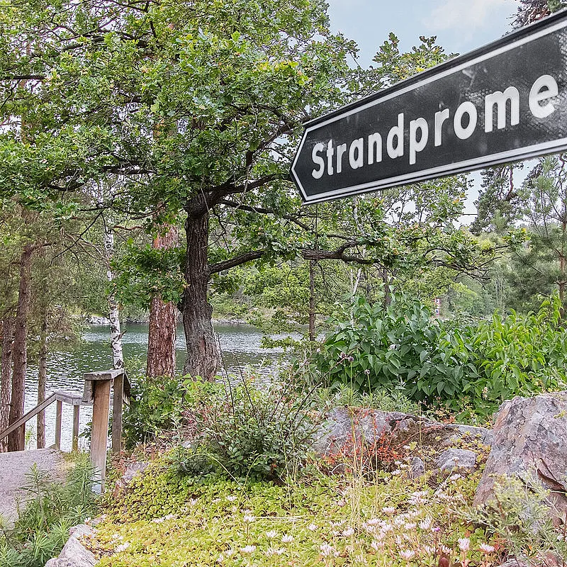 rdmGEcisPioH8pqj6Vk0xjgOQA0nhUPLViLuonKM