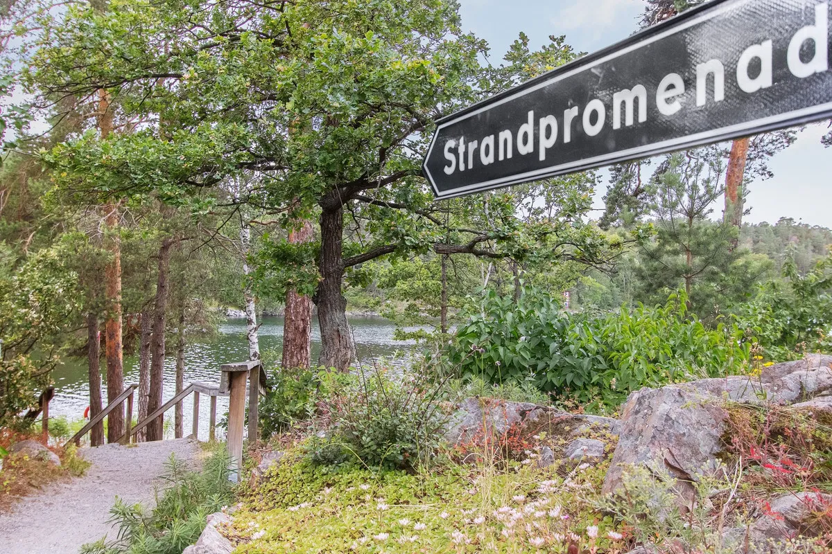 rdmGEcisPioH8pqj6Vk0xjgOQA0nhUPLViLuonKM