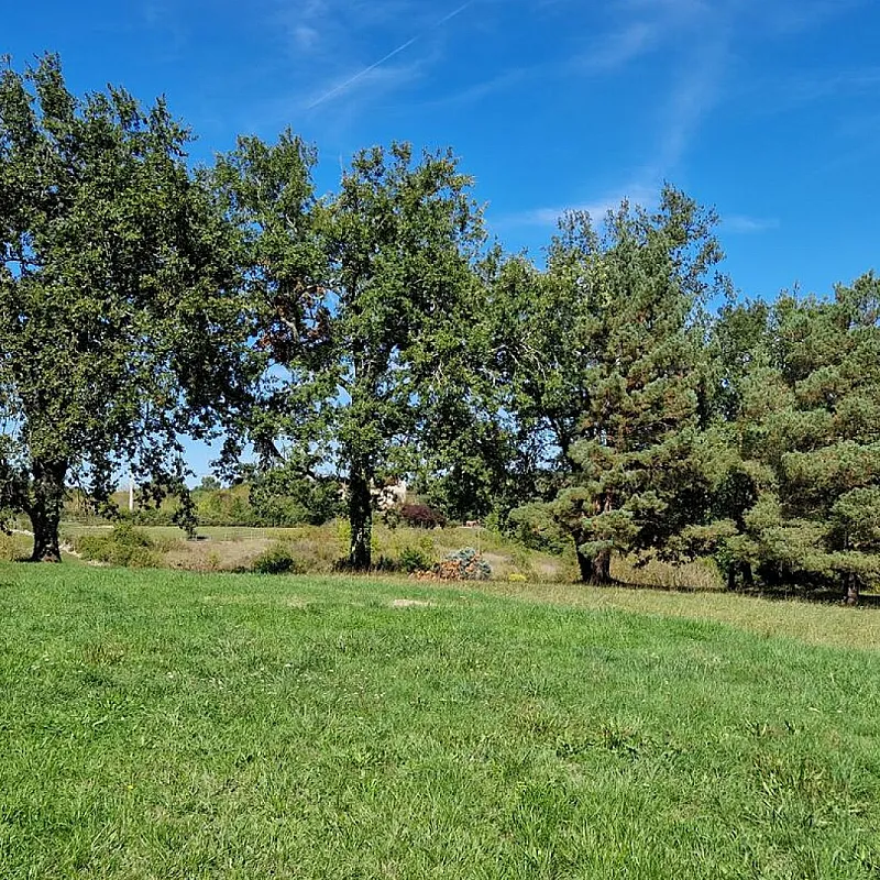 c4AzpQ18XeF7yXFw83GXZYJF6C3SHuiK77qLTX69