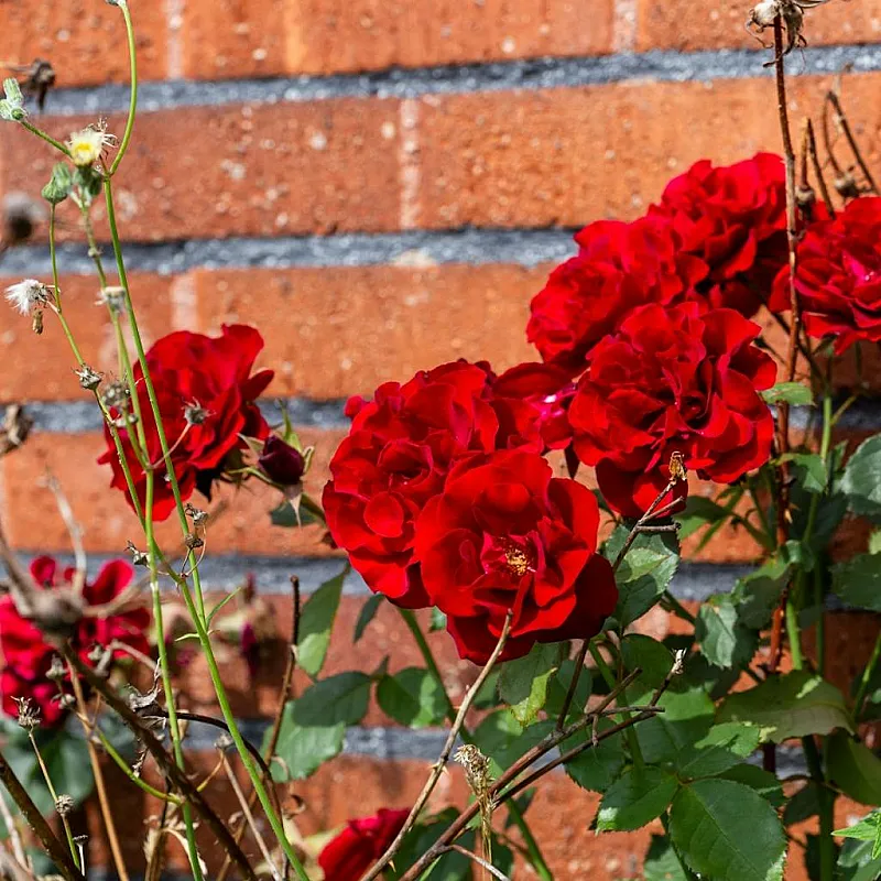 hTZj5aXBZIflAGBk7mxfrTcFKMH3Dv8V7UIyOnbc