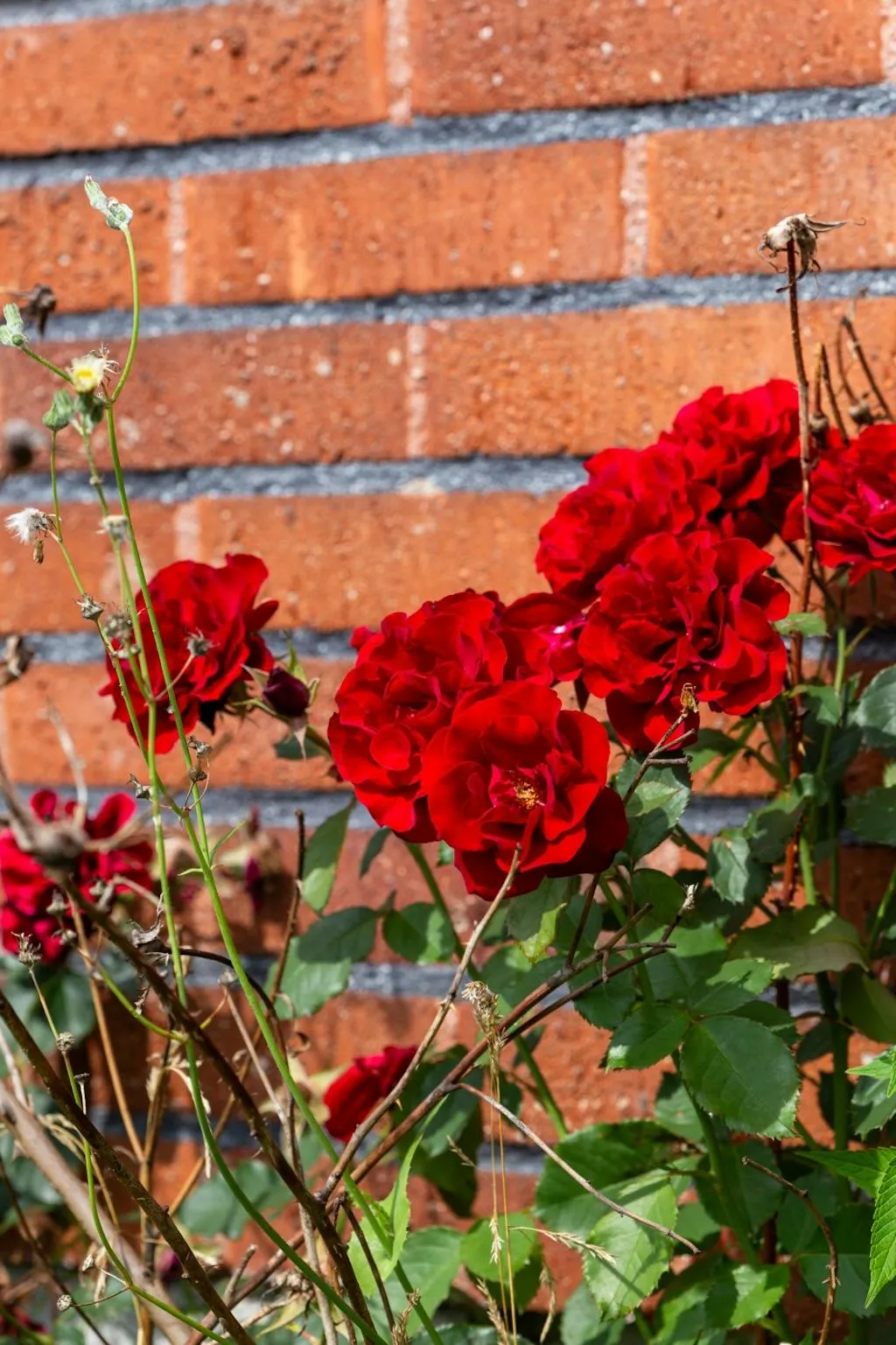 hTZj5aXBZIflAGBk7mxfrTcFKMH3Dv8V7UIyOnbc