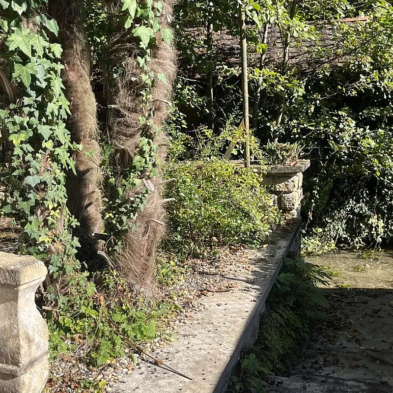 gx1ngY2GGJkHBJnH8ovUrk2M6O81DqpIrKxqmlEE