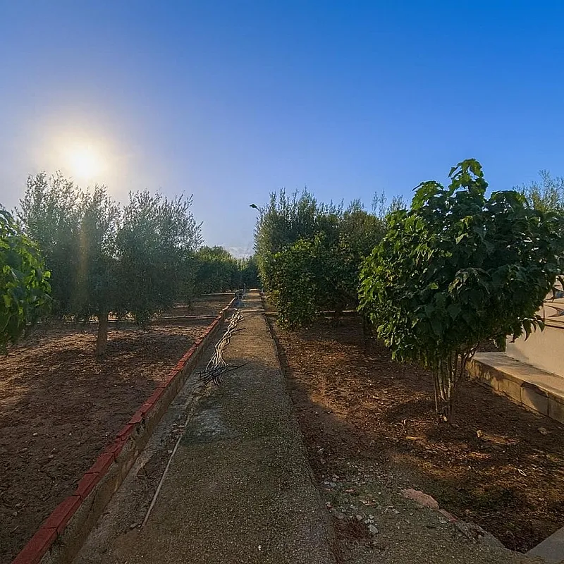 HBGUWjjQPqp3Ao6Ch9nxarcmYynp1ONOXidEPPVR