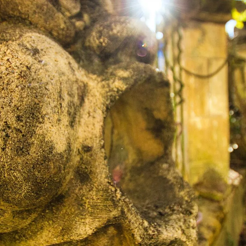 ATlaTjtmC02k6paAvH9ZaRv8rczmemXXsRs6WaLm