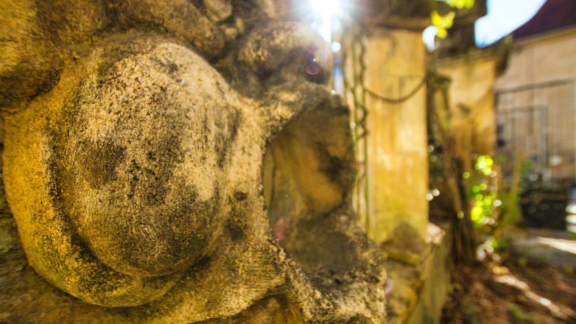 ATlaTjtmC02k6paAvH9ZaRv8rczmemXXsRs6WaLm