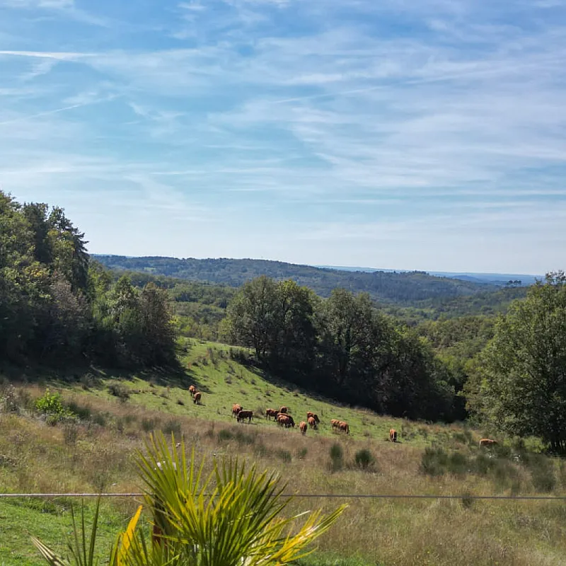 01mTjJGLTGhR1xzgDQcRYLCgJKqc5oIL4BSEf81c