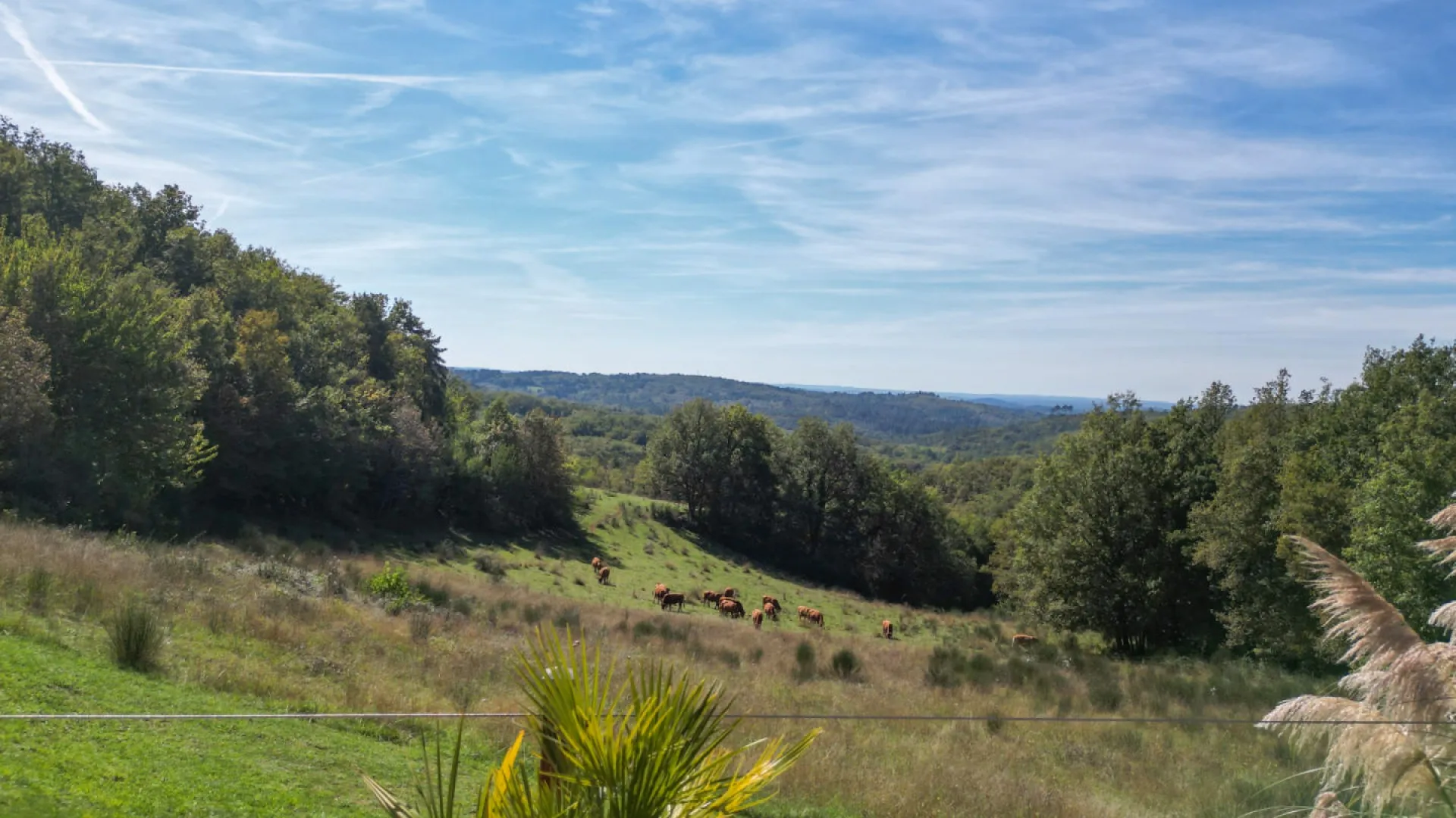 01mTjJGLTGhR1xzgDQcRYLCgJKqc5oIL4BSEf81c