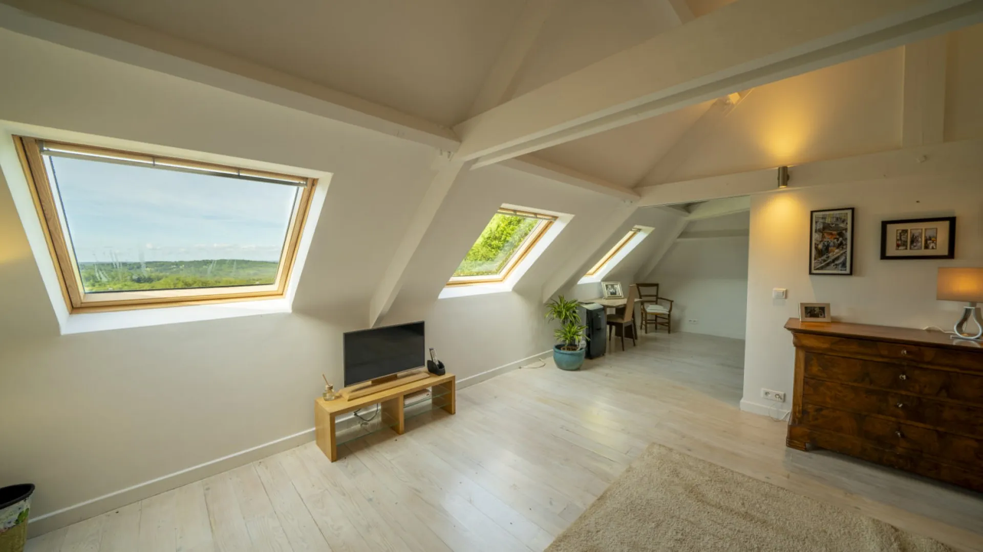 WQ7tStIzQgXY2yNSWdol9tr0OjC6d6yZIeXuopJR