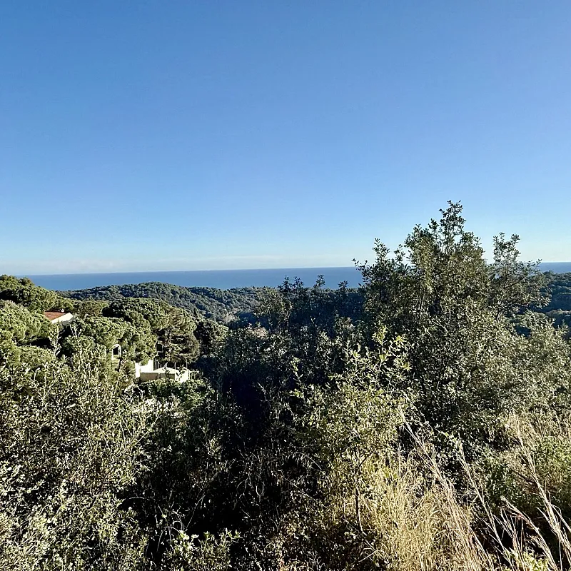 8Y5iqoUxByIQZrupRYtXOqC0AWVEEuiFwrOr0GAV