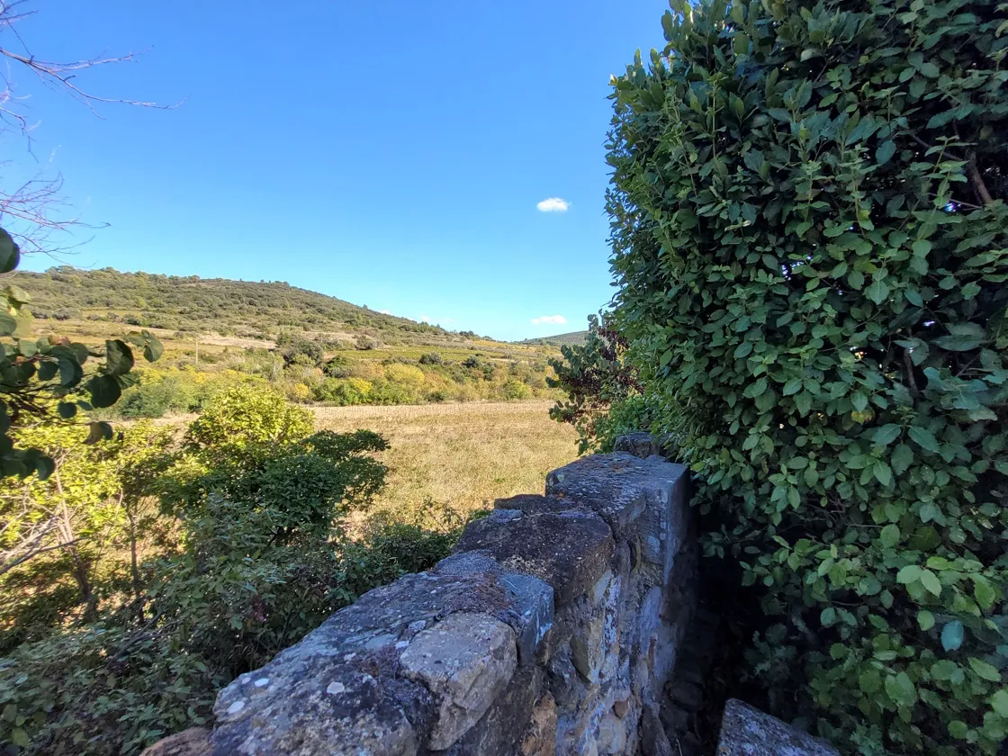 QrzkJjvXPvsY4uLmGeuvirPY6tgYwo3EY05XtqwM