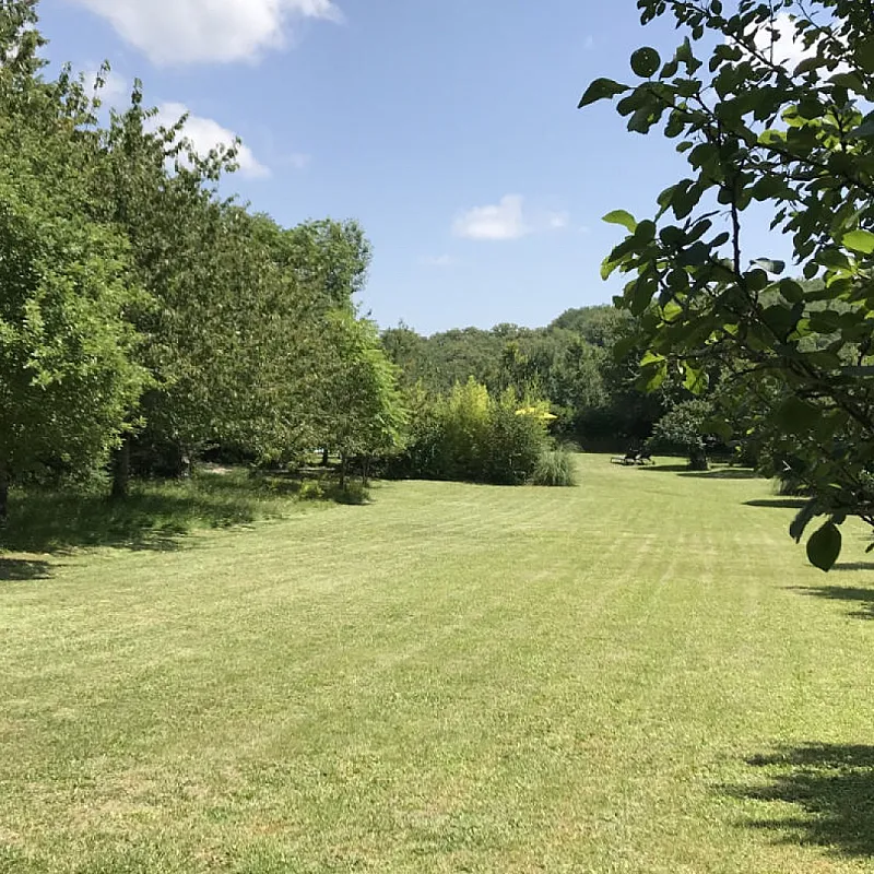 GgngwhCcZsvME8qFnneWs5twpzJIUjAkLnxeTQy1