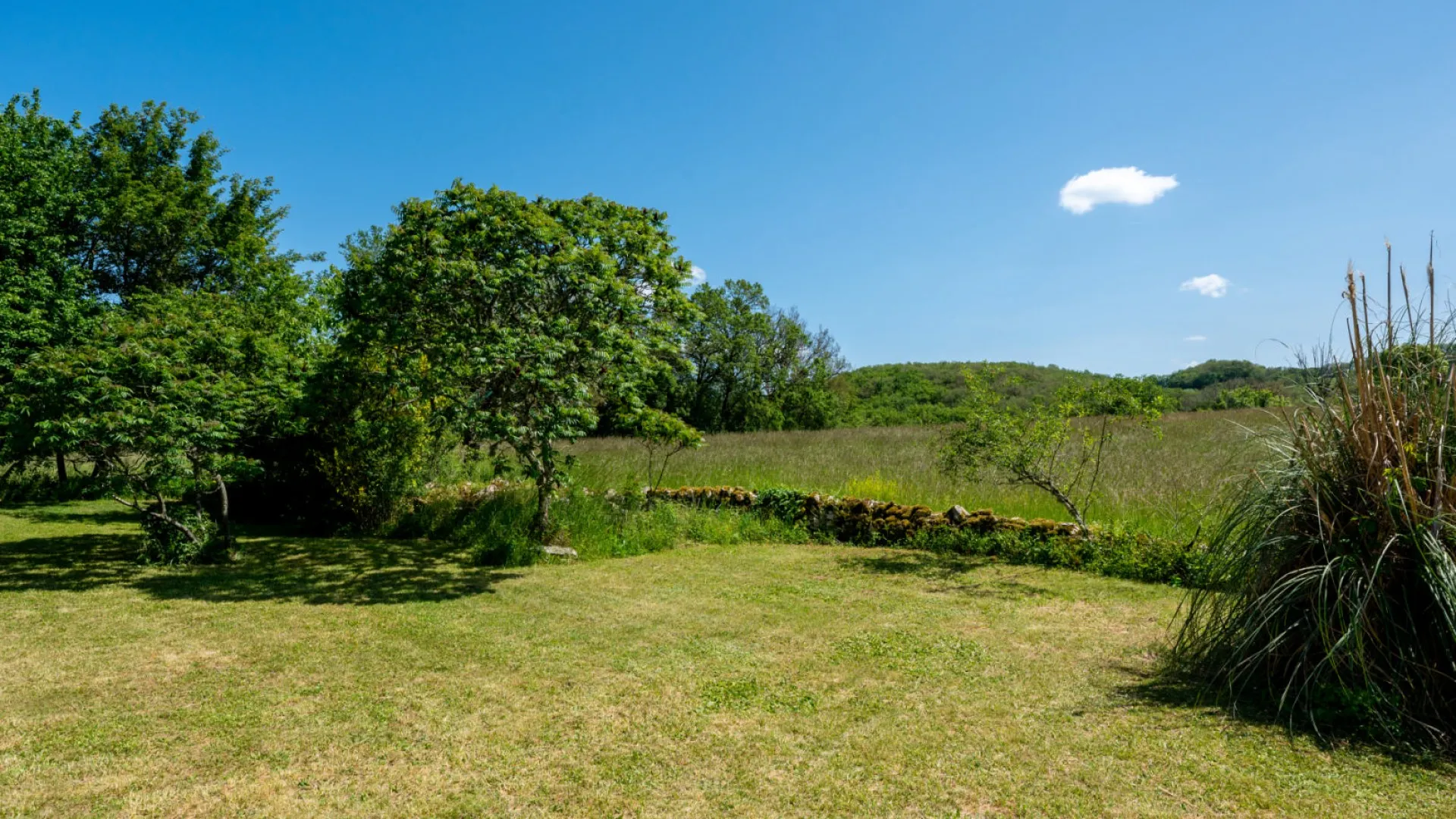 rt9MePmFtpsby0zdA0pddc84PtxqGzONOTxhWAVd