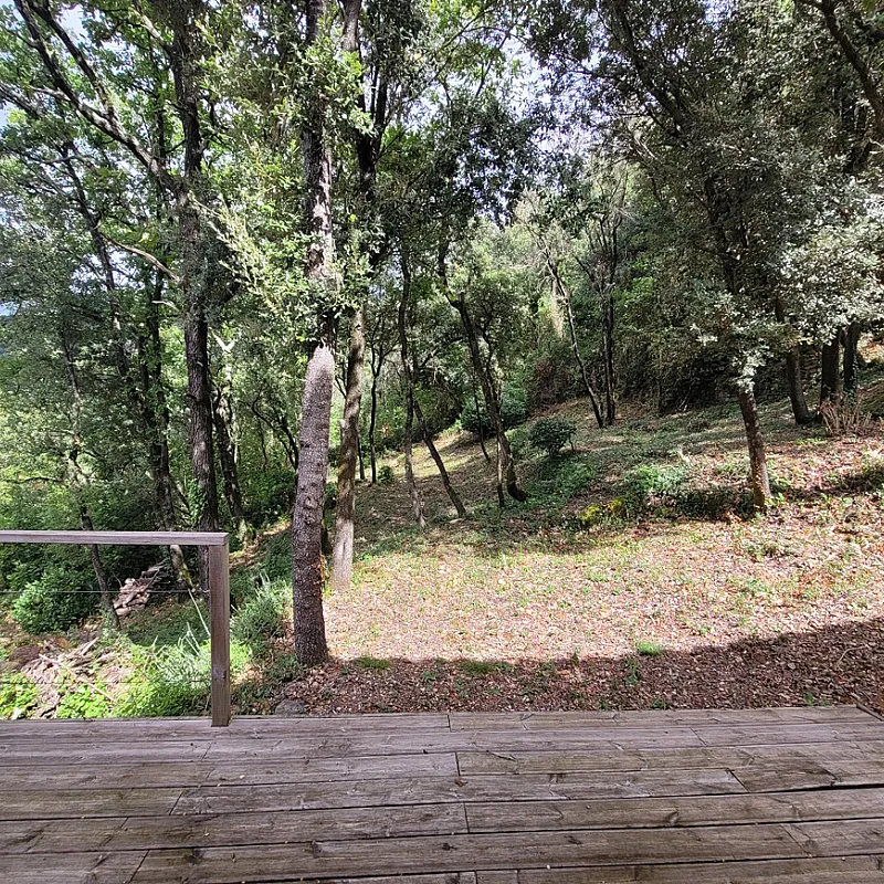 Qev4qAzoWojsuL869TzlZZKvhuFwAsT08244WQ5a