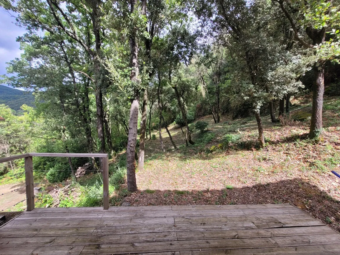 Qev4qAzoWojsuL869TzlZZKvhuFwAsT08244WQ5a