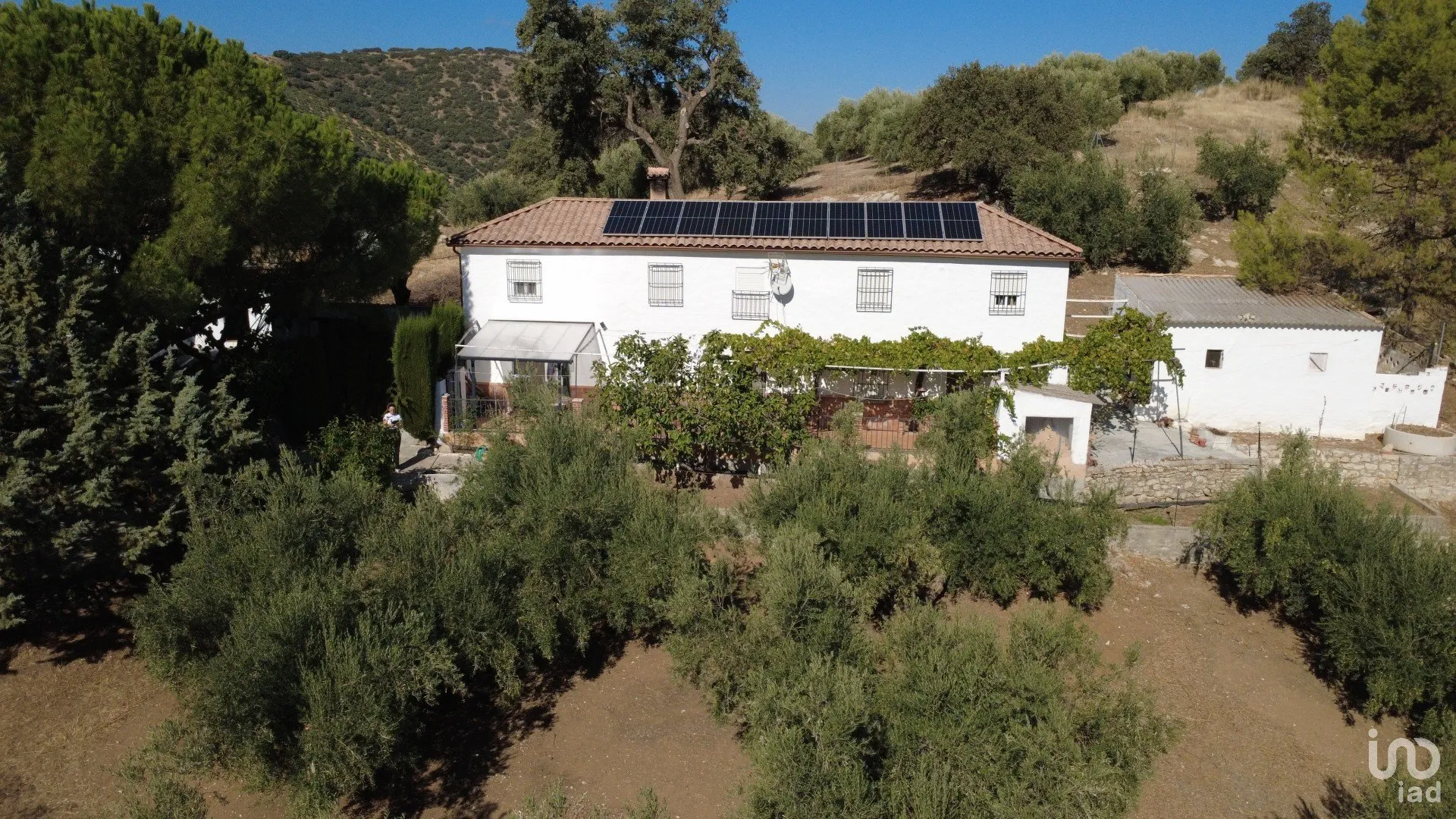 WwRTIzjO0gVRTSoP2boaqnnNvQvzvdR64Ct4Gbfz