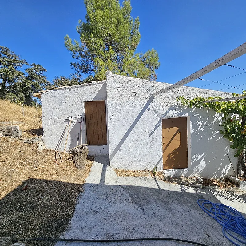 r6OrTd0PLQVrfCRw2tTowtU8MCzNPSWL5vC058d5