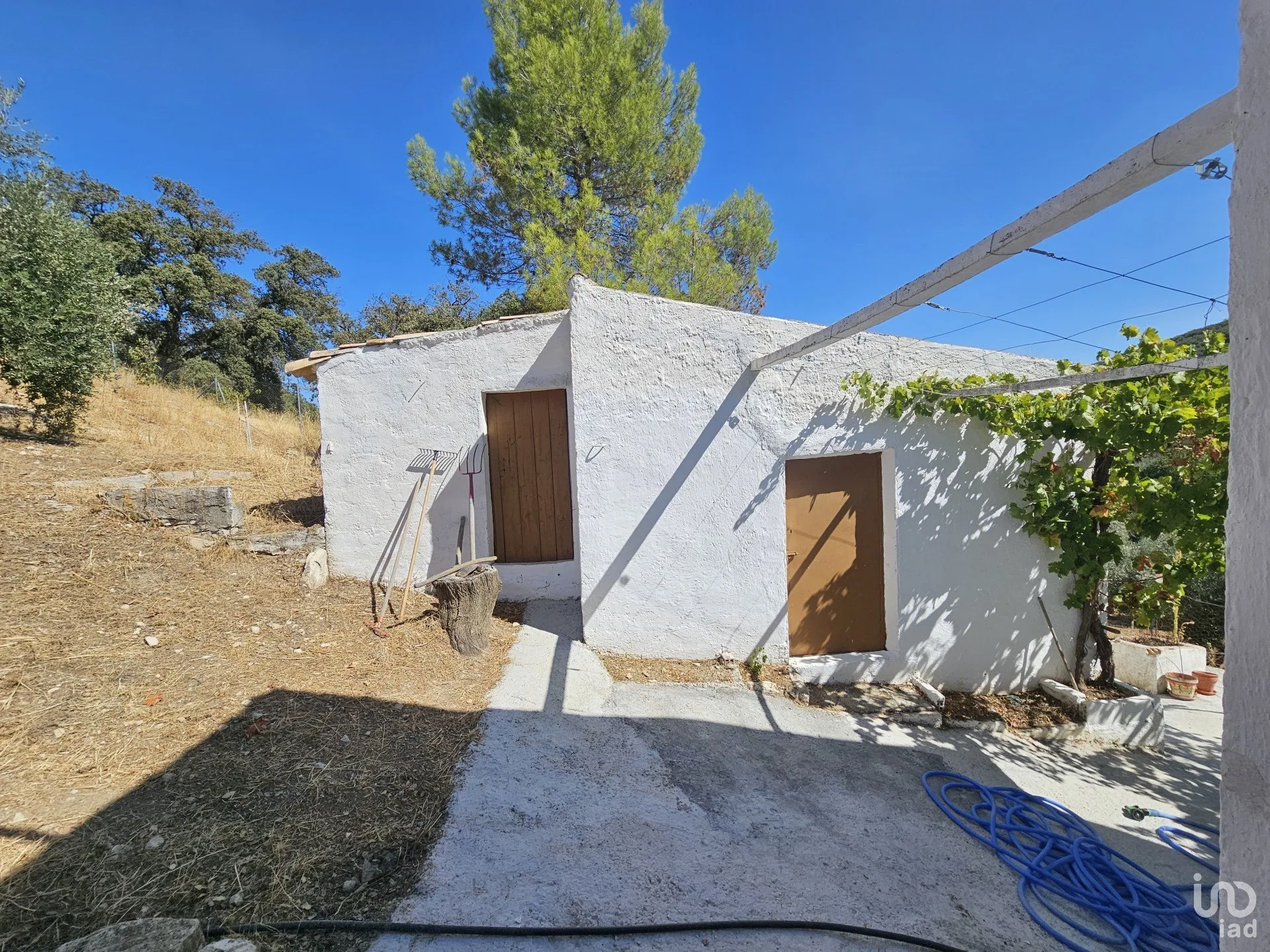 r6OrTd0PLQVrfCRw2tTowtU8MCzNPSWL5vC058d5