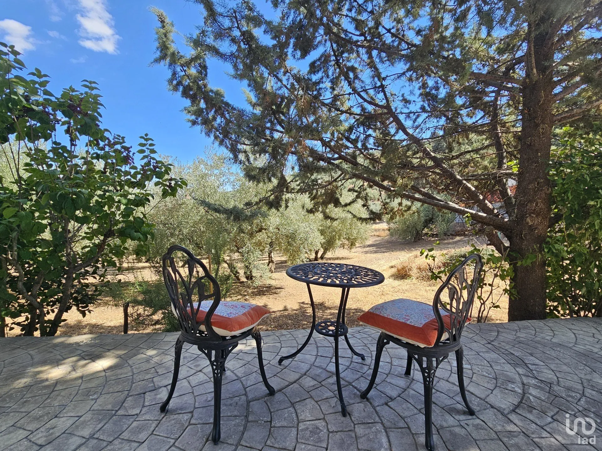 GRQ6ASGXW0BOFzXRnTGvgncXuiV6ZtCNb3aBaA24