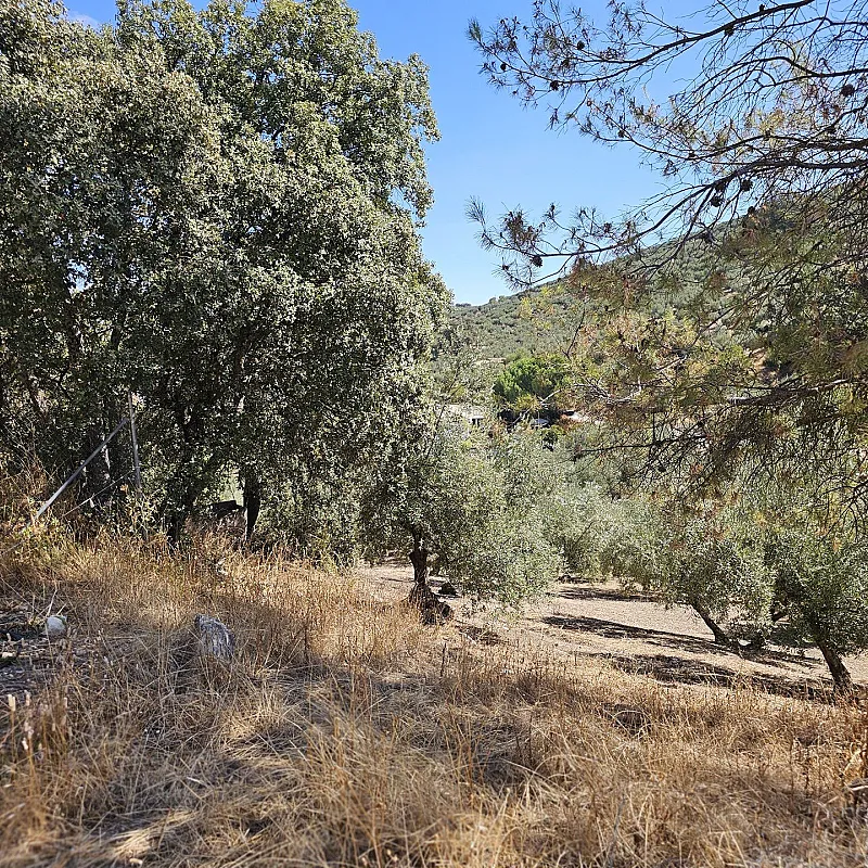 Bbm9fk3PYBxQUBZEiO0L6hxfVMHFFFFUemlkWgsV