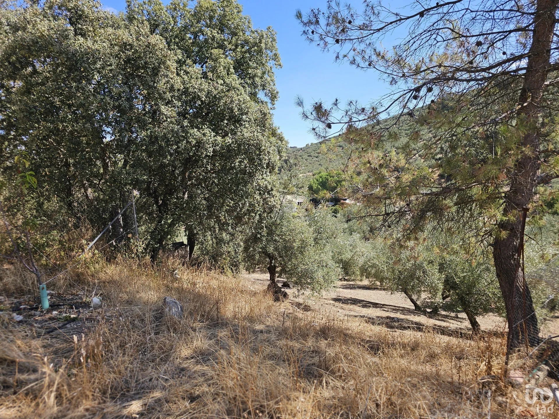 Bbm9fk3PYBxQUBZEiO0L6hxfVMHFFFFUemlkWgsV