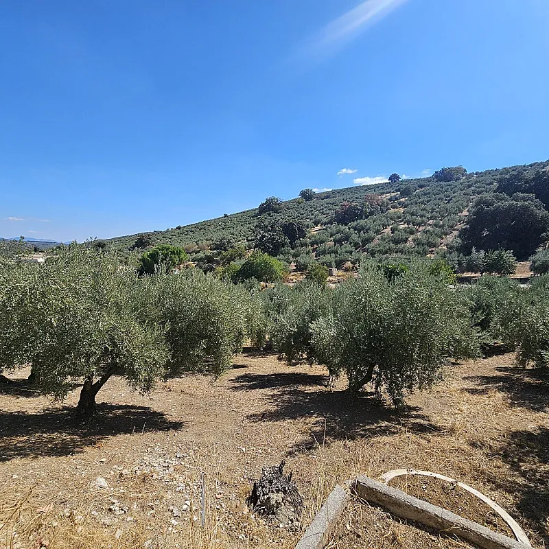 Yrxs9EMZjjJxCvOzzM7nF5H5tGXRKv2Q7pGk8VgP