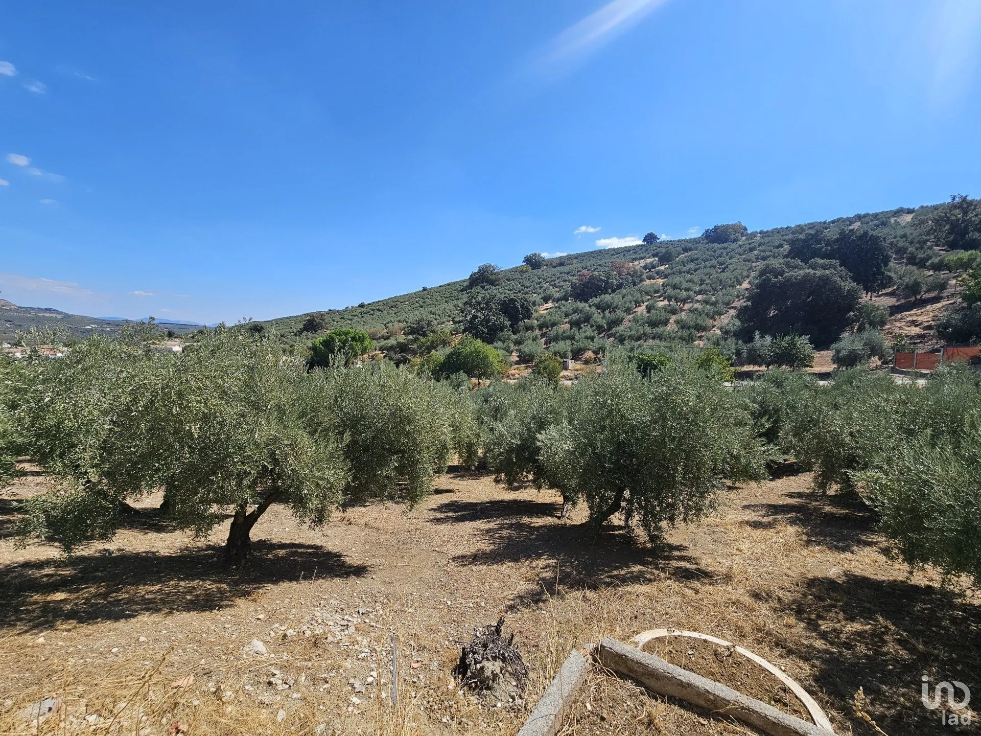 Yrxs9EMZjjJxCvOzzM7nF5H5tGXRKv2Q7pGk8VgP