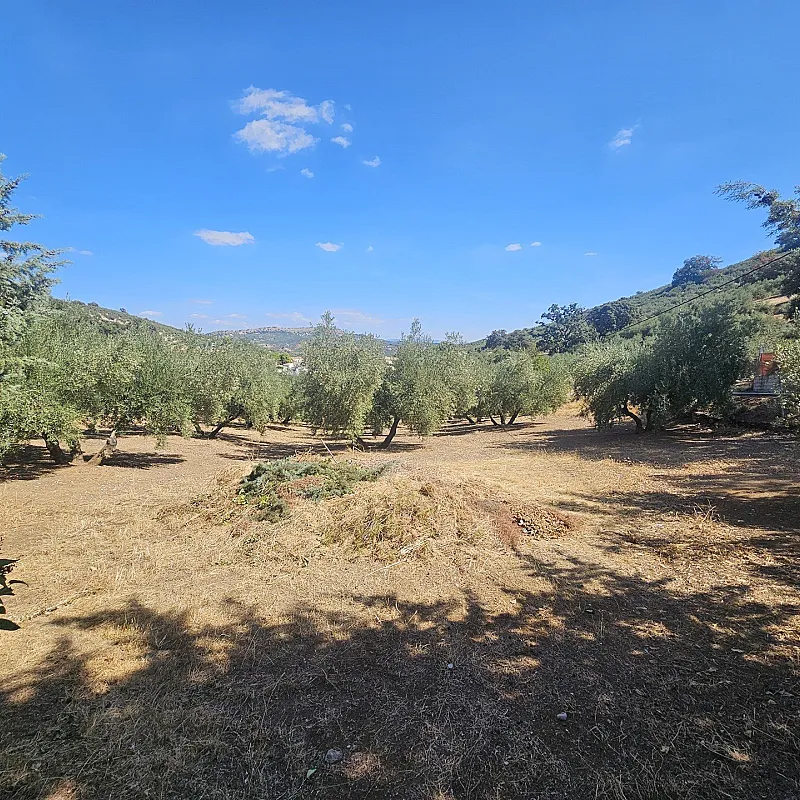 zEJYZlIqoUKFKNDYNVEYfHAnWO31dHFCkiaWESs8