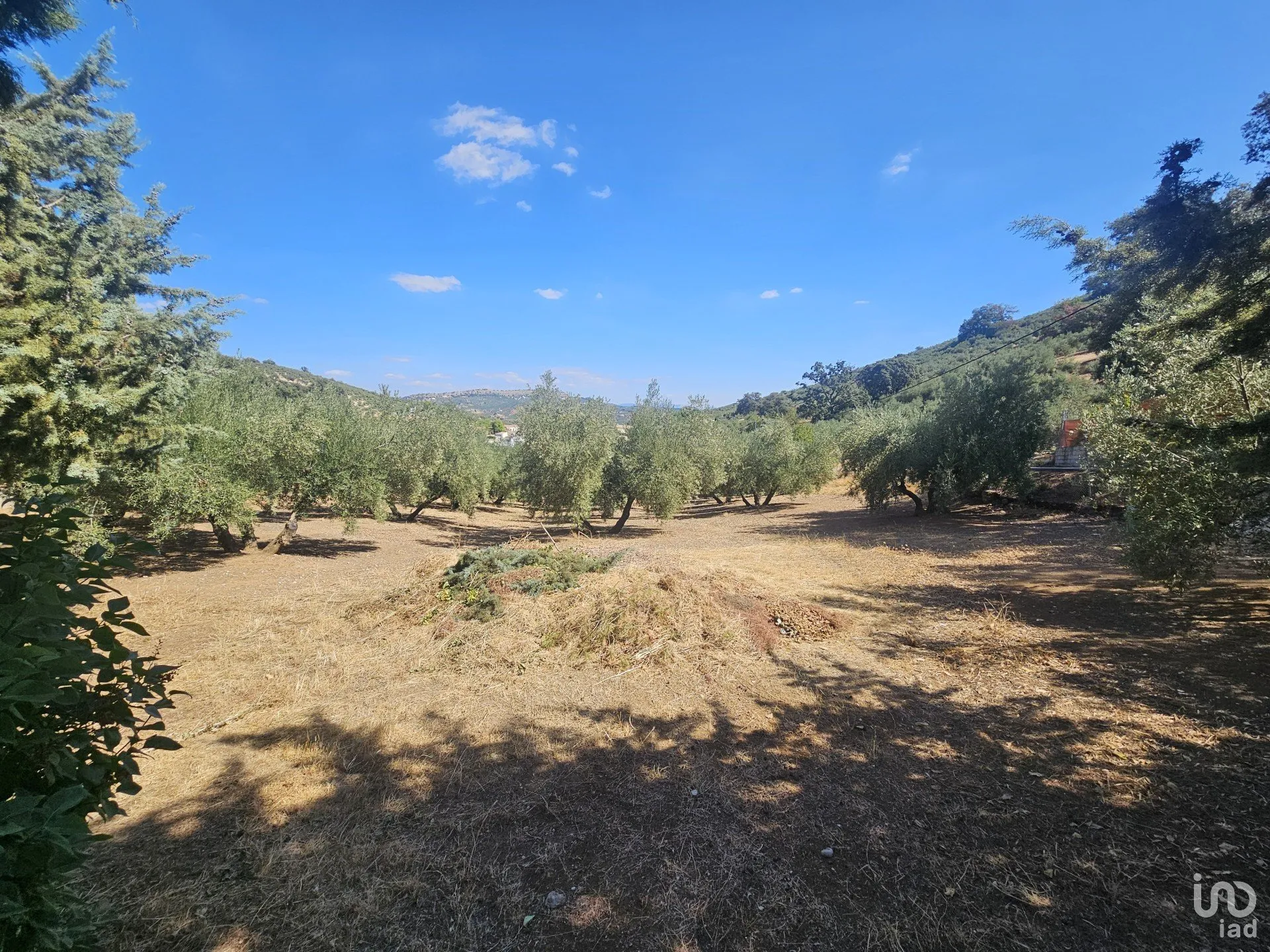 zEJYZlIqoUKFKNDYNVEYfHAnWO31dHFCkiaWESs8