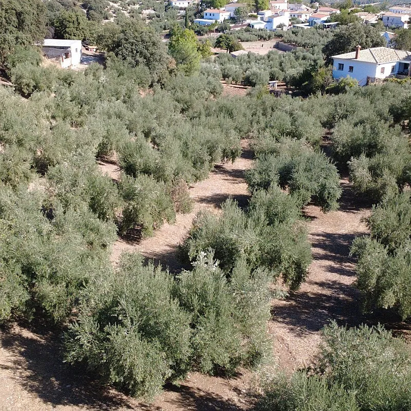 w1w4MmlEsUK1hIKGz9WpcBfteNB81W34mgcnpjj1