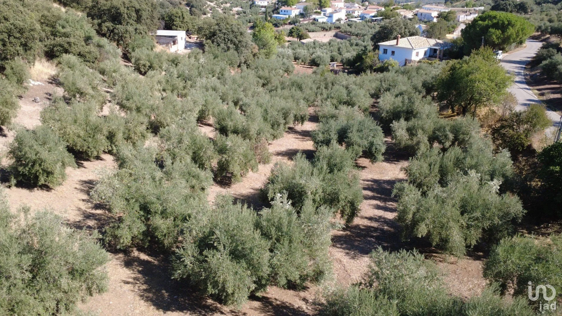 w1w4MmlEsUK1hIKGz9WpcBfteNB81W34mgcnpjj1