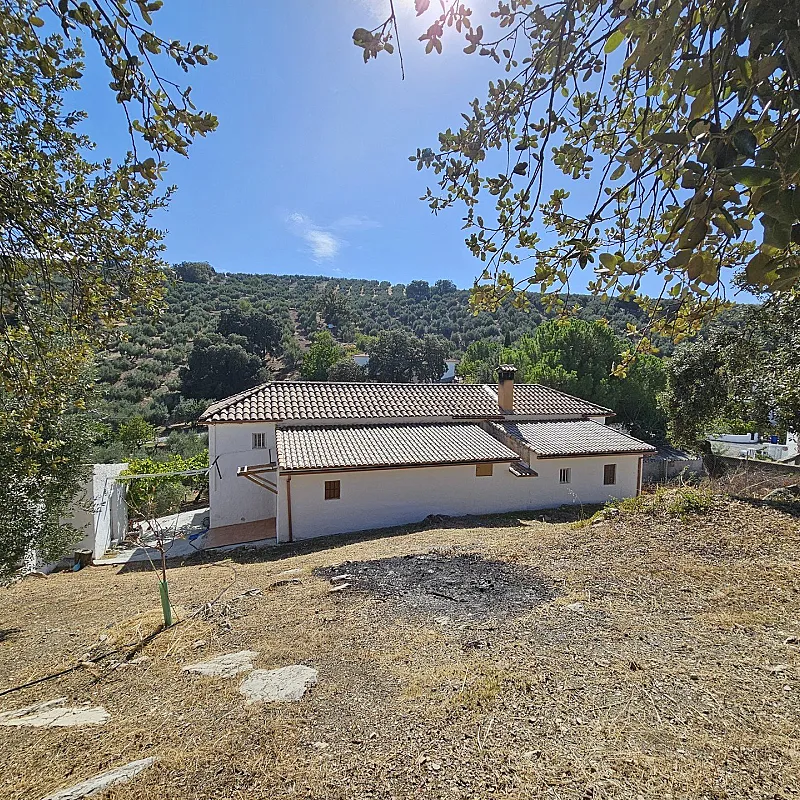 1HO2IaBoO4DXGxlqMXn0Poq0xyaZKqxU6evDEZ68