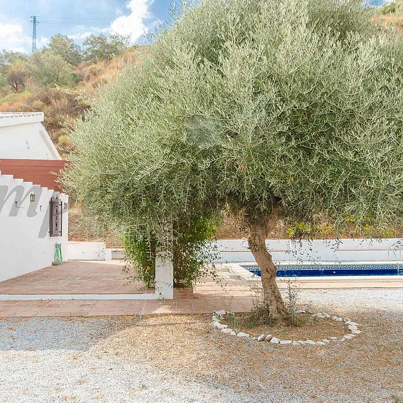 ICid4av9dIRmepHO3rLwIZOmuLkEKkQeBpl2kMEK