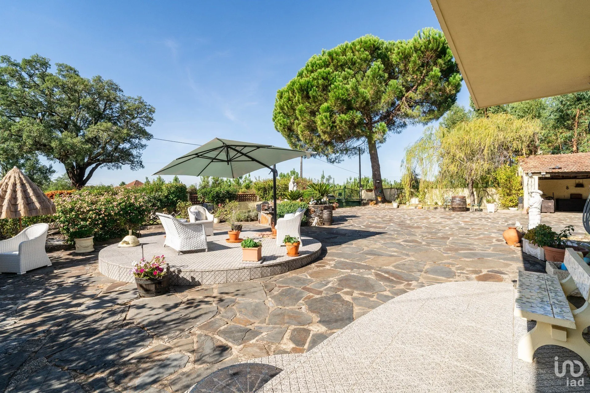 YLQgcpfZjYq3Lolh4aJcdEKUJGTMul3zpThIjxSP