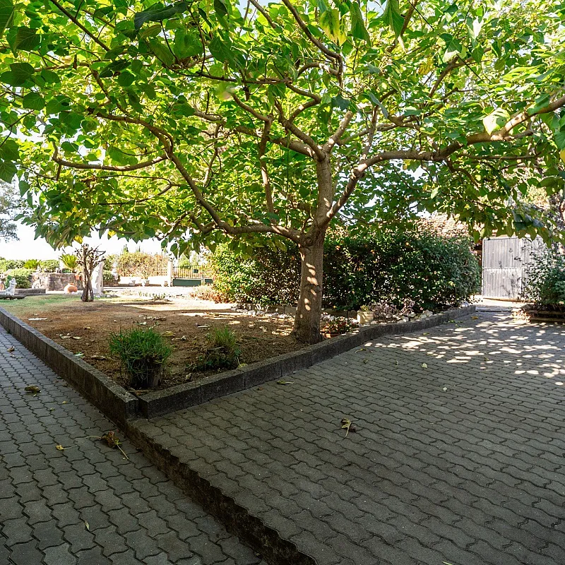 Zl7w5cqPvUVLghFFBhhG8LIcemNfhVDdEfmyTliQ