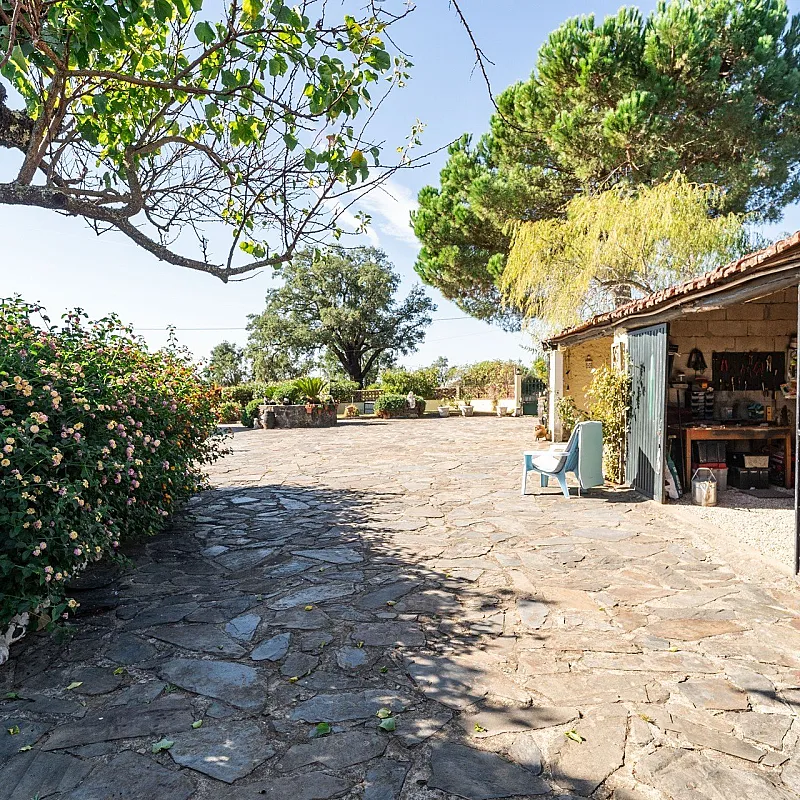 aQHFzaxEVlYHF6dNYQuDlRdF8HVh34mSd38Q9SY7