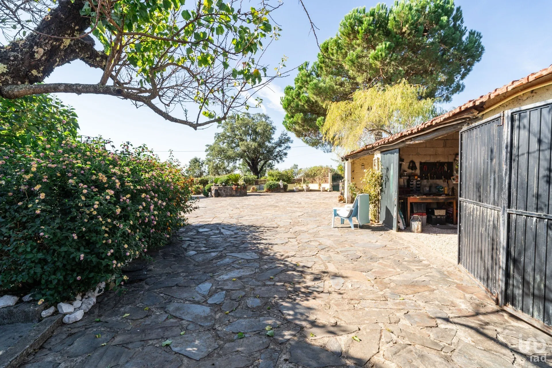 aQHFzaxEVlYHF6dNYQuDlRdF8HVh34mSd38Q9SY7