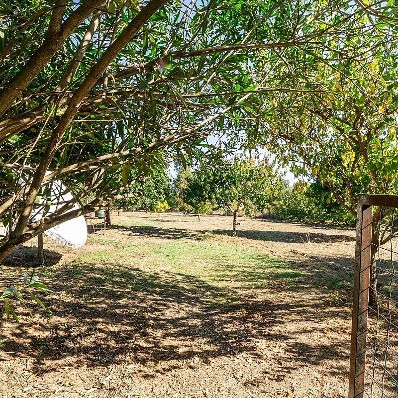 X9FSTlRL2WduEmwFfoAnxbseeQzFUVYbp9TKvXhO