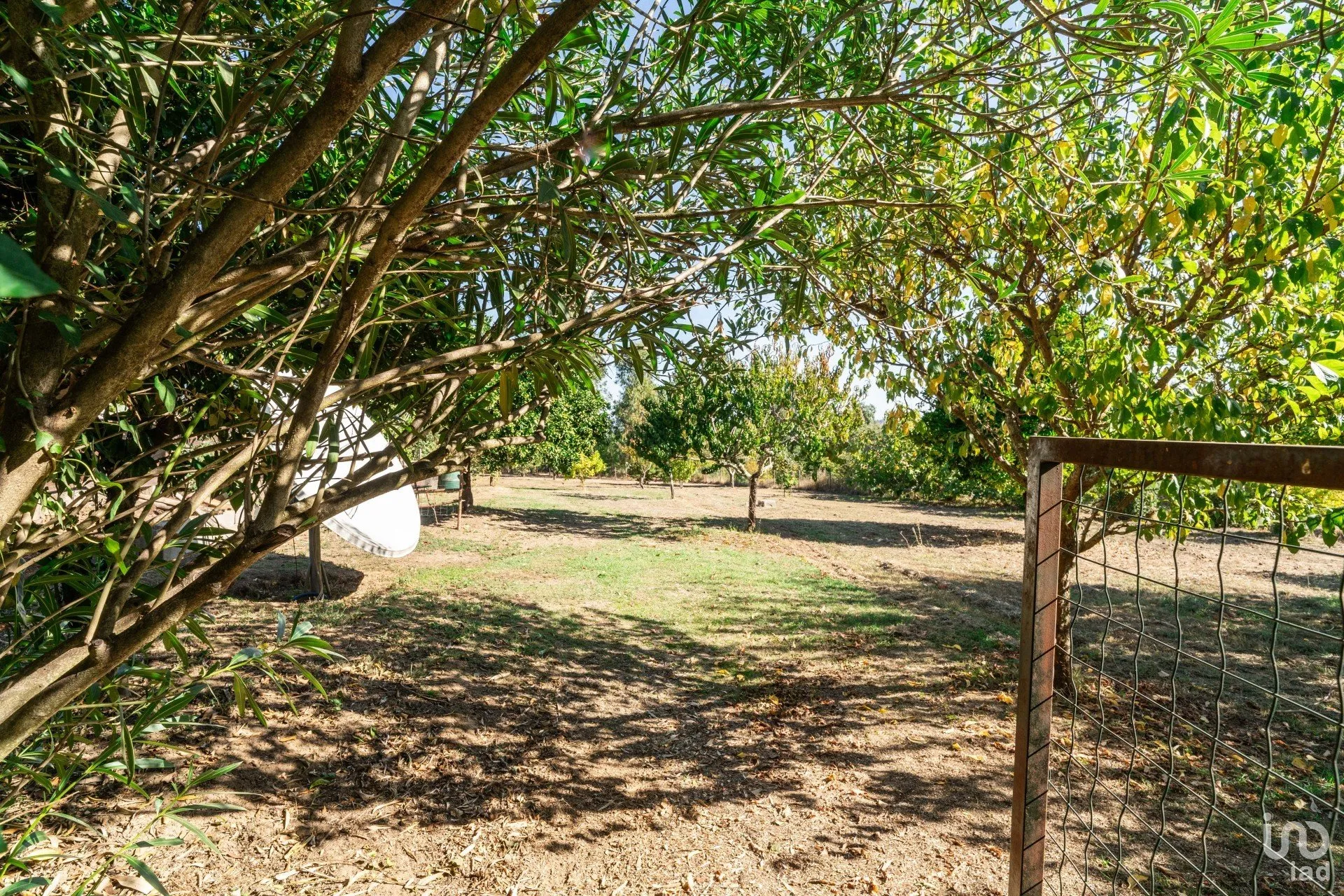 X9FSTlRL2WduEmwFfoAnxbseeQzFUVYbp9TKvXhO