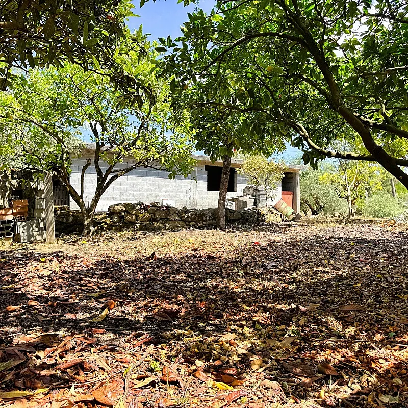 fDh0Nf7YYPGihtxA2NLuyiCVYs1zTbgdiIkRHNYJ