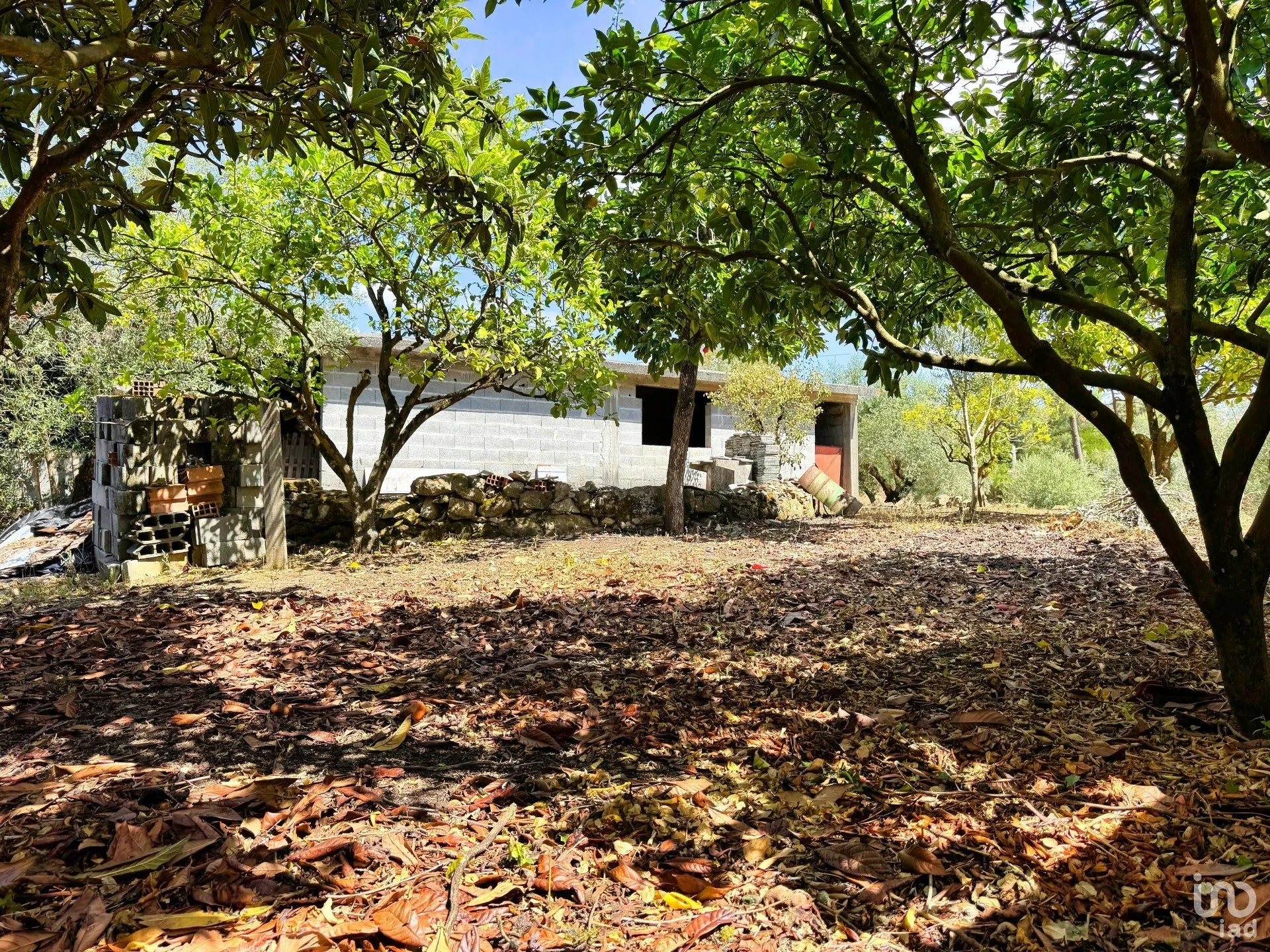 fDh0Nf7YYPGihtxA2NLuyiCVYs1zTbgdiIkRHNYJ