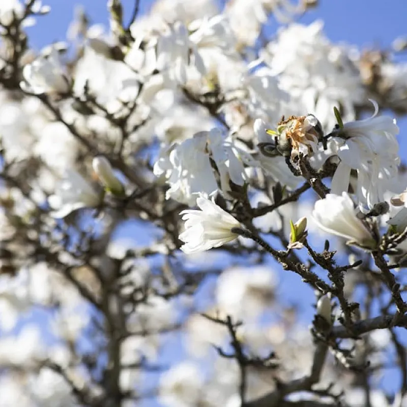 JRNOHGIQFAo1oP2r1guwXFaRfPGe1lZaH8DsYeBN