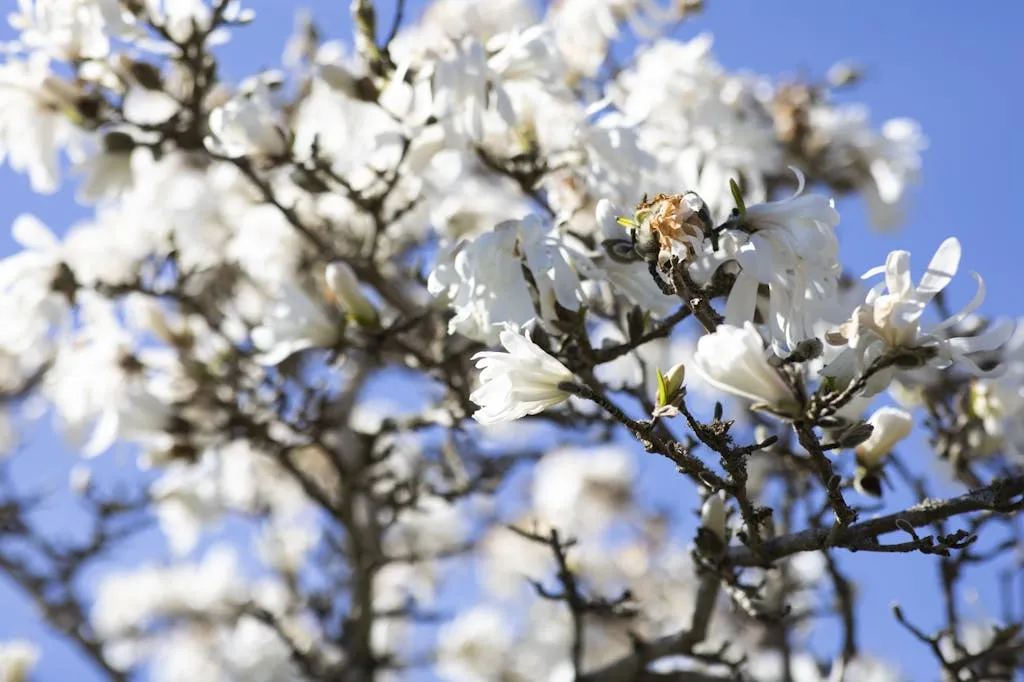 JRNOHGIQFAo1oP2r1guwXFaRfPGe1lZaH8DsYeBN