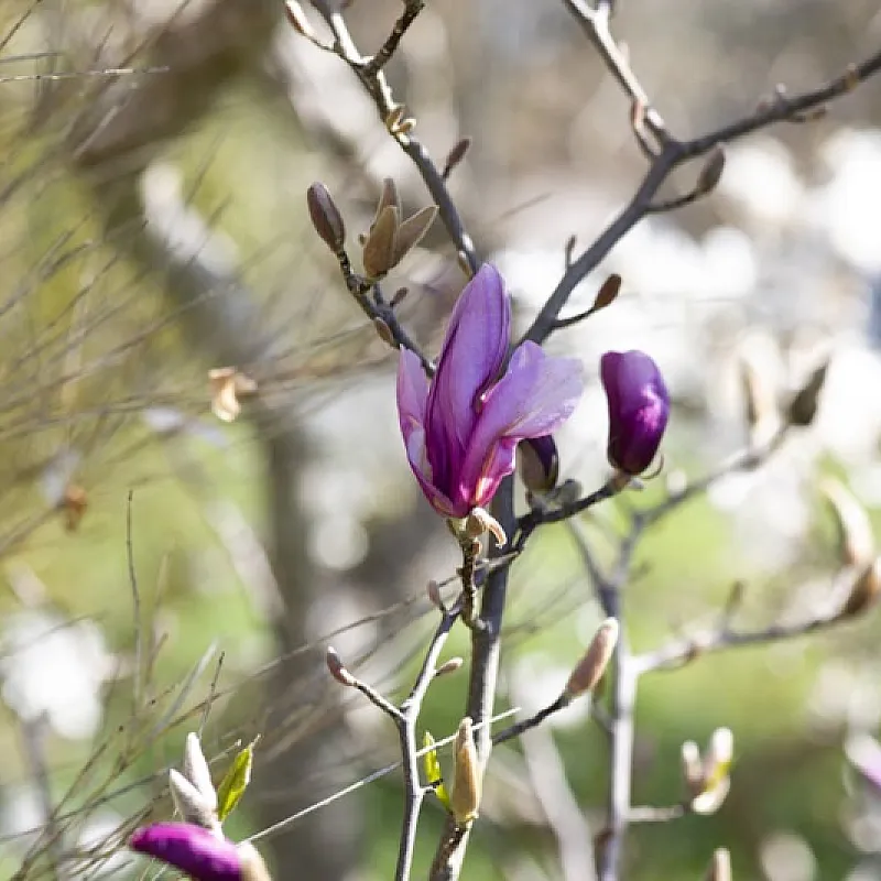 N3bEPJqr6qYrid3QHpcrmsymICS6hkgIdC32nOow